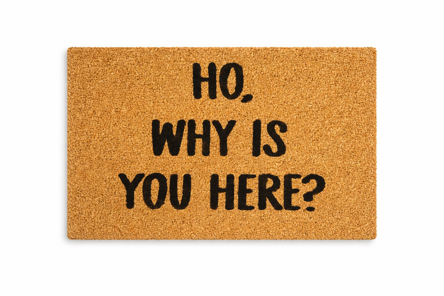 HO, WHY IS YOU HERE?