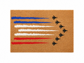 RED, WHITE, & BLUE FLYOVER